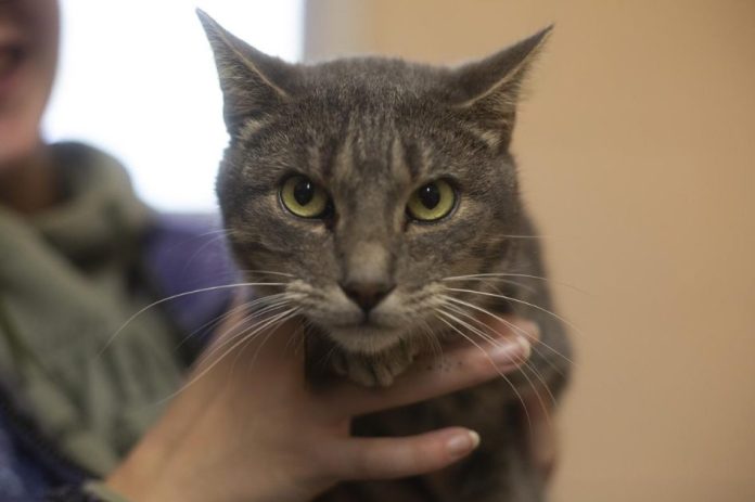 Screenshot 2026-03-18 154646