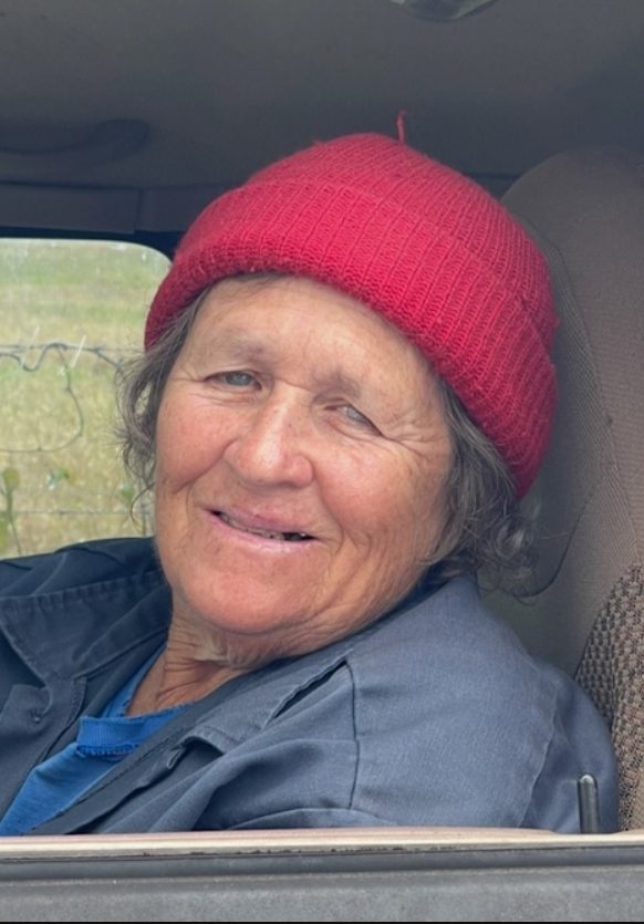 Screenshot 2026-03-27 135742