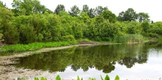 MDC to host pond management workshop April 7 in Wright County