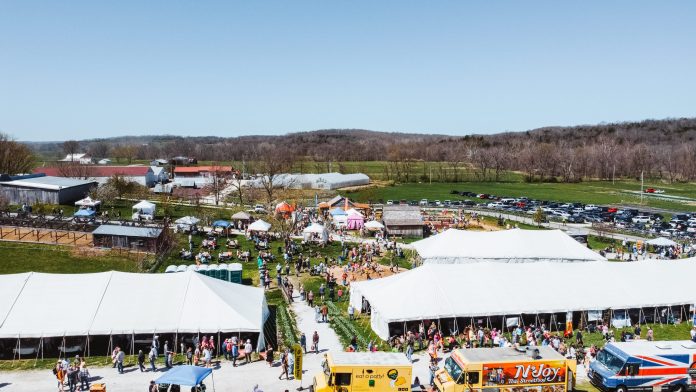 2024 April Tulips and festival drone photos ZS077