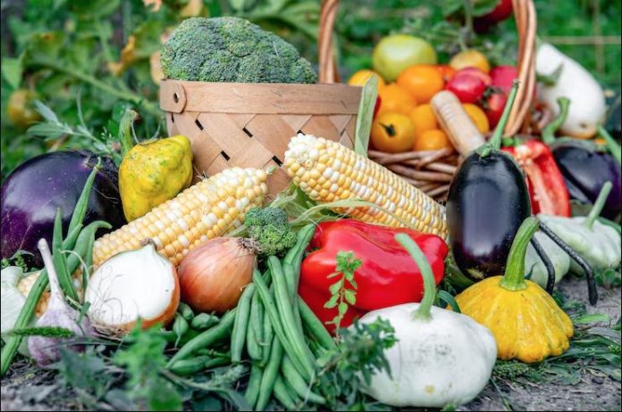 Screen Shot 2026-04-09 at 4.38.53 PM