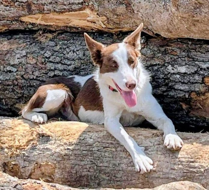 Screenshot 2026-04-06 125803