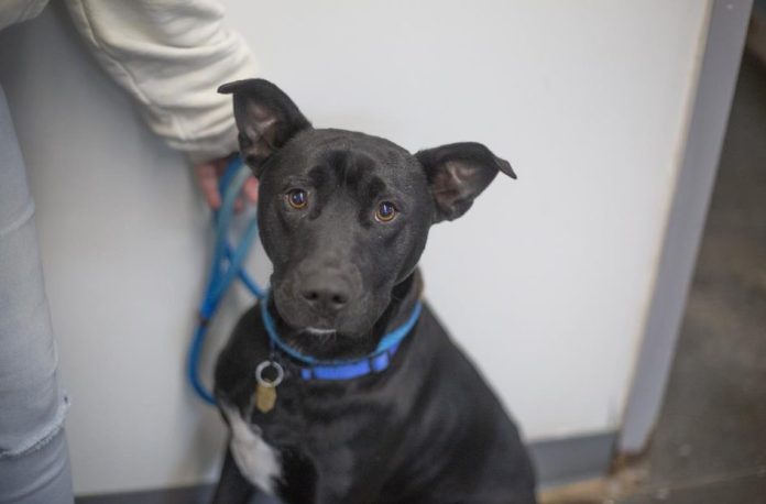 Screenshot 2026-04-06 141134