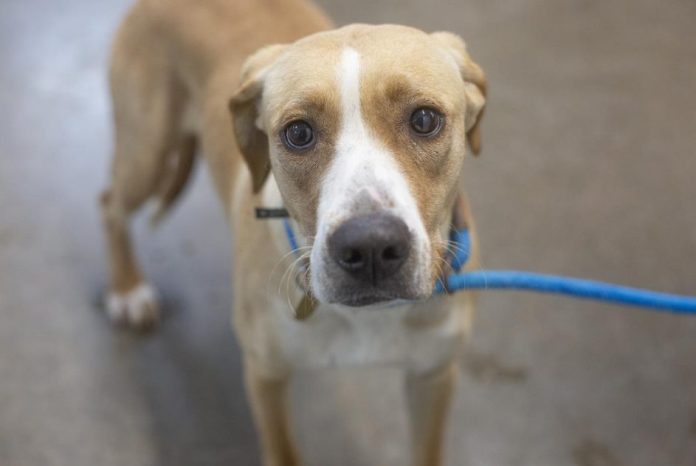 Screenshot 2026-04-13 185154