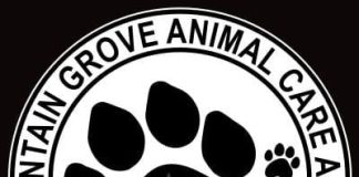 Adoption Fees Waived as Shelter Reaches Capacity in Mountain Grove