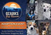 Ozarks Pet Rescue to Hold Adoption Event in West Plains Saturday