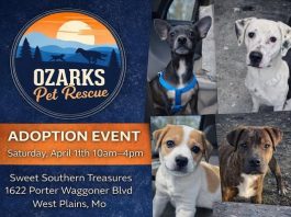 Ozarks Pet Rescue to Hold Adoption Event in West Plains Saturday
